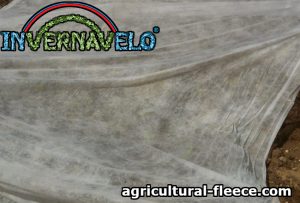 Agricultural Fleece